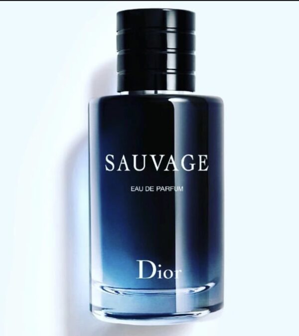 Sauvage Dior EDP 100ml | Perfume store in Nigeria | Lagos | Benin | Abuja | Asaba